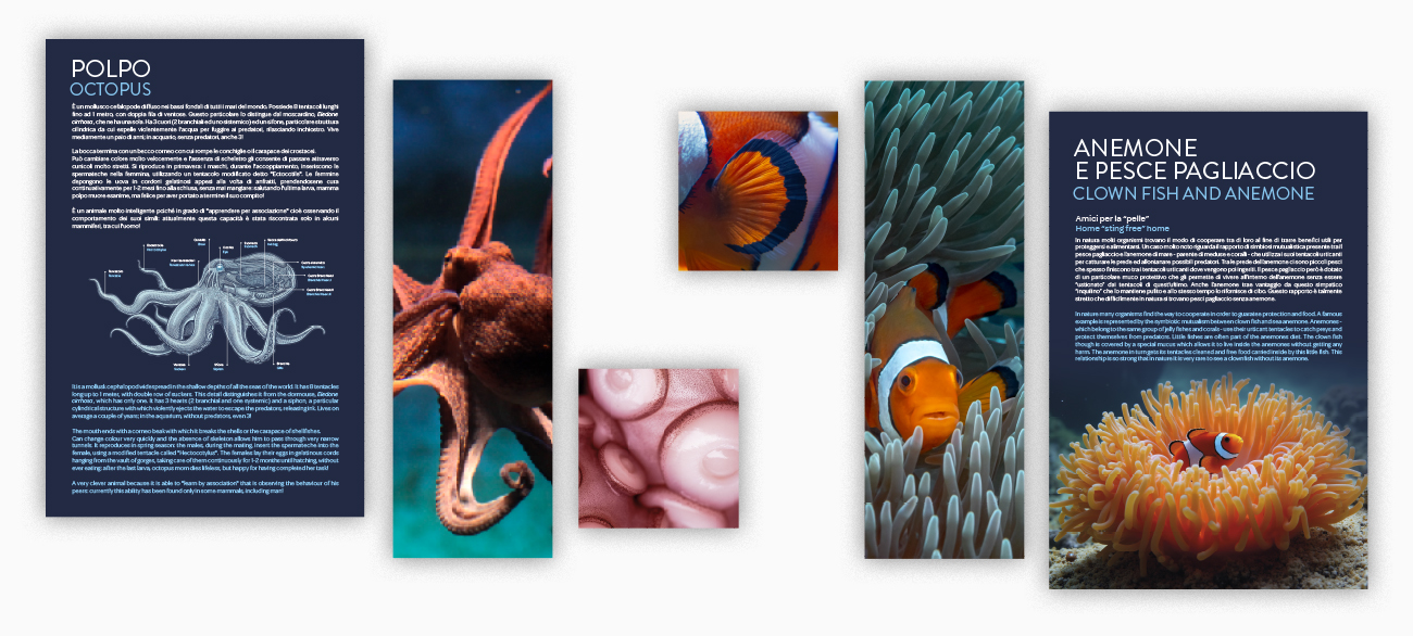 Campagna pubblicitaria 2026 Acquario di Livorno - pannellistica